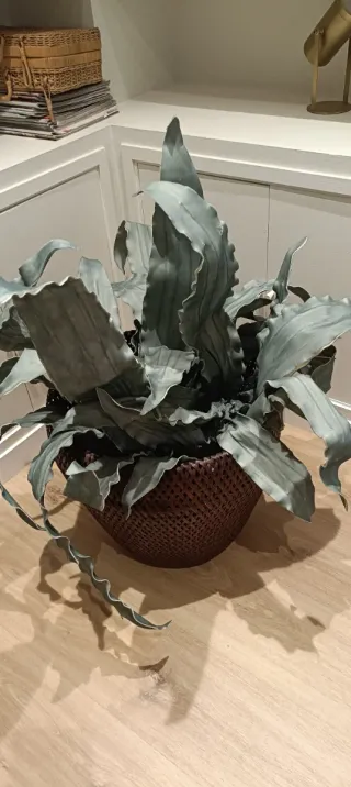 Salón completo moderno