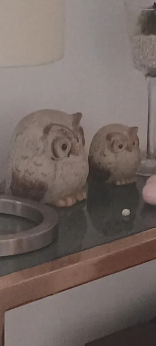 Figuras de búhos decorativos