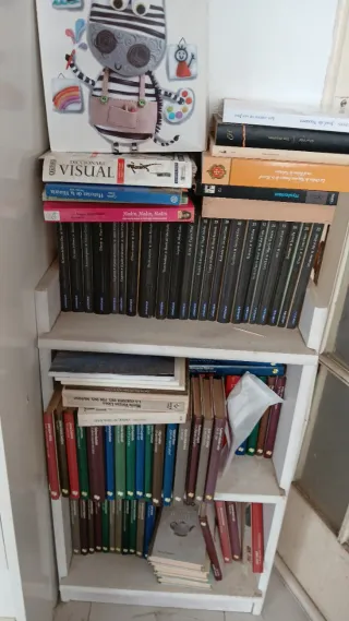 Lote de libros antiguos , clásicos  y modernos