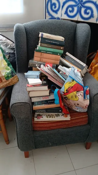 Lote de libros antiguos , clásicos  y modernos