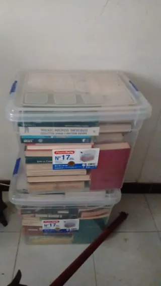 Lote de libros antiguos , clásicos  y modernos