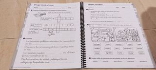 Libro de Pixépolis - Atención a la div