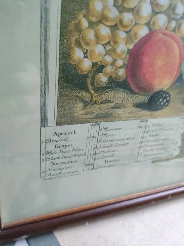 2 Cuadros Frutas Marco Madera