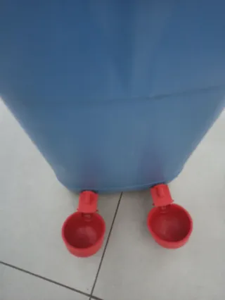 Bebedero para gallinas