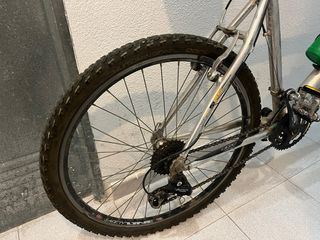 Bicicleta de montaña plateada