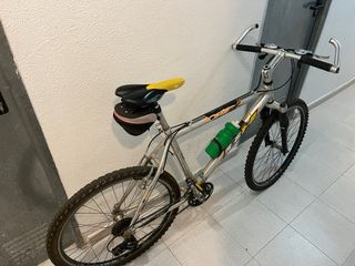 Bicicleta de montaña plateada