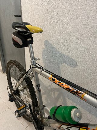 Bicicleta de montaña plateada