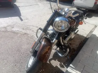 Harley Davidson Custom Manual