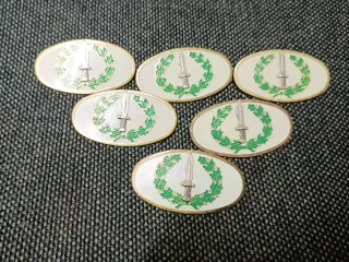 Insignias militares plateadas y doradas