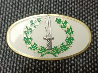 Insignias militares plateadas y doradas