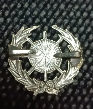 Insignias militares plateadas y doradas