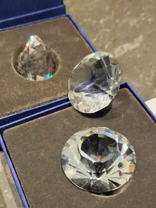 FIGURA SWAROVSKI SOCIO ANUAL