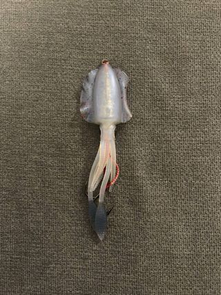 Amostra De Pesca Lula Preta & Transparente