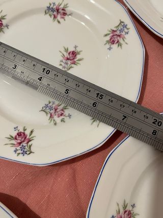 6 Platos Limoges Porcelana Flores Rosas