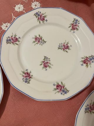 6 Platos Limoges Porcelana Flores Rosas