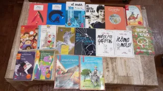 Libros lectura a 5€ cada uno