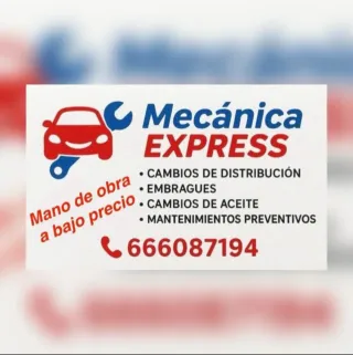 Mecánico a domicilio