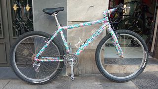 Bicicleta Montaña Pintura Multicolor