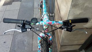 Bicicleta Montaña Pintura Multicolor