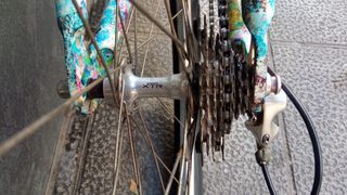 Bicicleta Montaña Pintura Multicolor