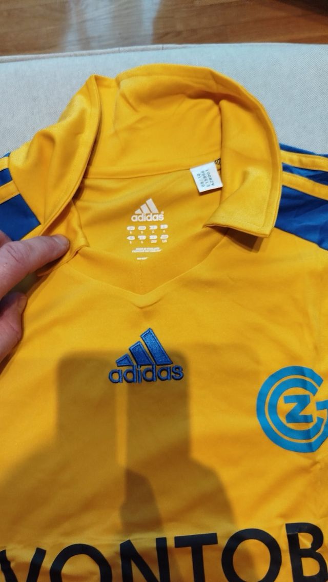 Camiseta Grasshopper (Suiza) 2010/11