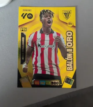 Lote Adrenalyn XL 25-26