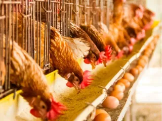 Soy un chico de 26 años con ganas de trabajar..