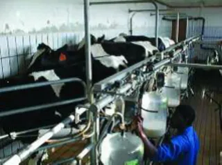 Soy un chico de 26 años con ganas de trabajar..