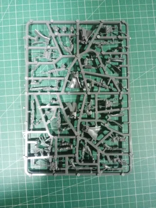 10 Skitarii Rangers/Vanguard Adeptus Mechanicus