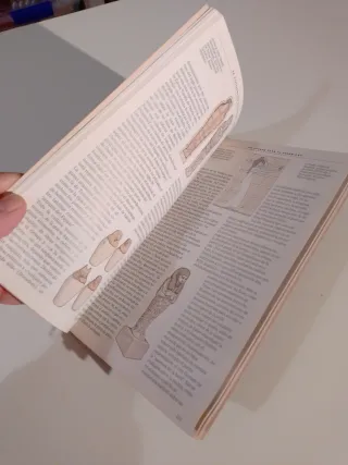 Guía Arqueológica. Egipto y Nubia (2 volumenes)