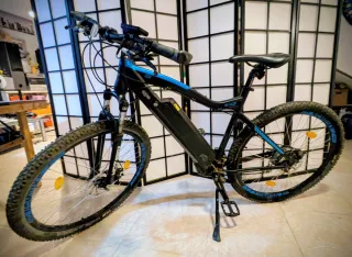 Bicicleta Eléctrica Moscow 48V