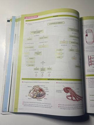 Biología y geología. 1 Bachillerato. Savia (Spa...