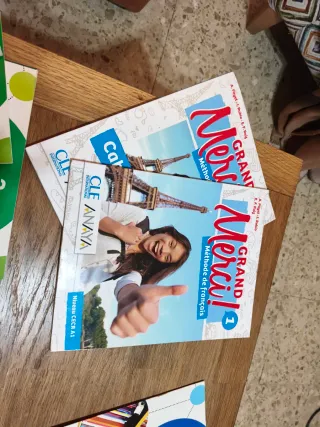 FISICA Y QUIMICA SERIE INVESTIGA 2 ESO SABER HACER