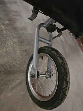 Carro remolque para perros bici