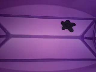 Bañera Plegable Bebé Morada