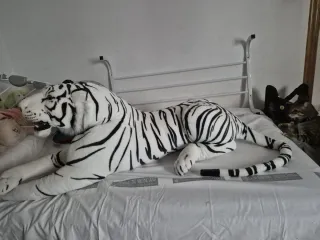 Tigre Blanco Gigante Peluche