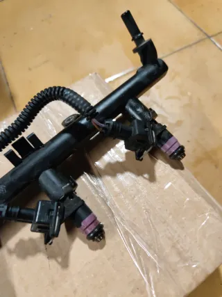 Inyección Clio 3 1.4 16v