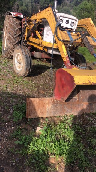 David Brow 1410 com pala tenía