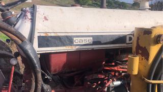 David Brow 1410 com pala tenía