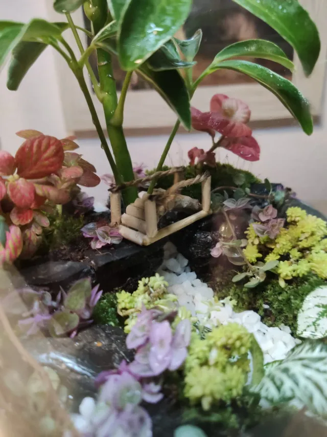 Jardín Eterno Terrario Plantas