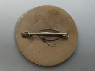 Medalla Escuela de A.T.S. de Navarra - Años 60