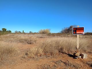 Terreno en Alzira de Regadio de 3 Hanegadas