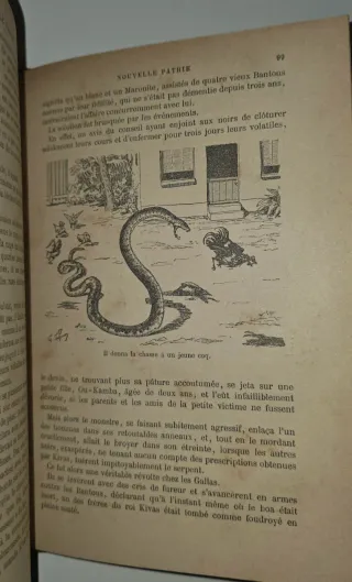 1897, Libro antiguo viajes - Nueva Patria