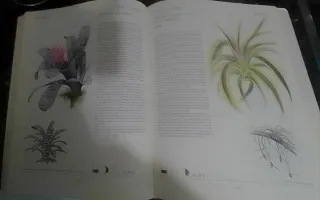 GRAN LIBRO PLANTAS INTERIOR