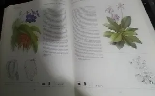GRAN LIBRO PLANTAS INTERIOR