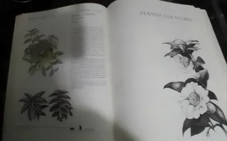 GRAN LIBRO PLANTAS INTERIOR