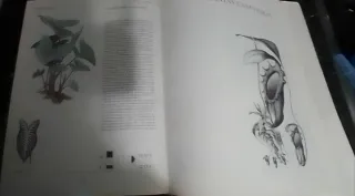 GRAN LIBRO PLANTAS INTERIOR