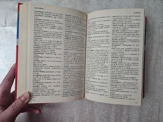 Dizionario francese. Francese-italiano, italian...