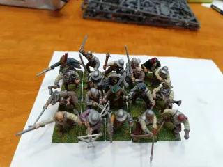 Warhammer Imperio Compañías Libres