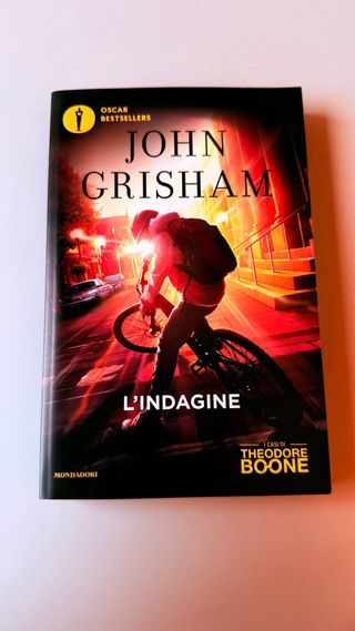 L'indagine. I casi di Theodore Boone